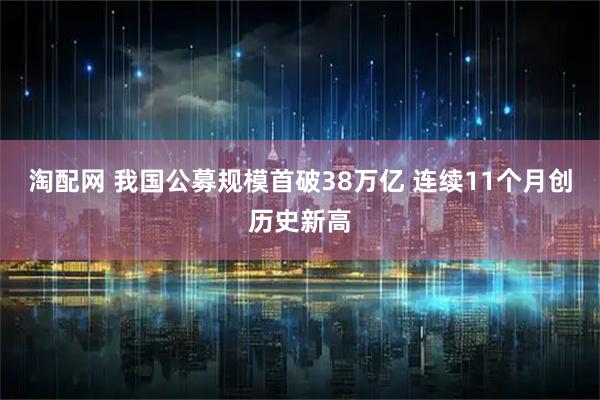 淘配网 我国公募规模首破38万亿 连续11个月创历史新高