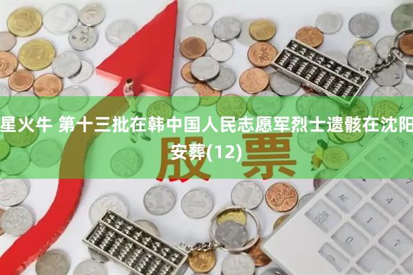 星火牛 第十三批在韩中国人民志愿军烈士遗骸在沈阳安葬(12)