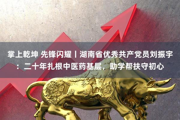 掌上乾坤 先锋闪耀丨湖南省优秀共产党员刘振宇：二十年扎根中医药基层，助学帮扶守初心