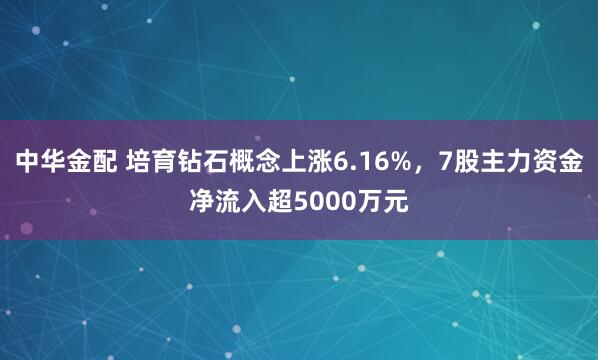 中华金配 培育钻石概念上涨6.16%，7股主力资金净流入超5000万元
