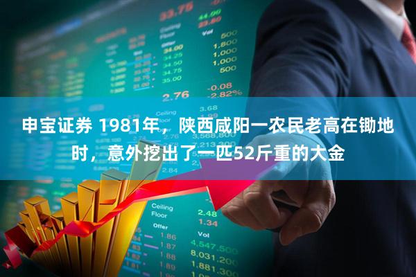 申宝证券 1981年，陕西咸阳一农民老高在锄地时，意外挖出了一匹52斤重的大金